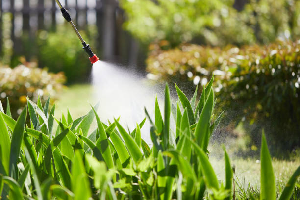 24/7 Emergency Ant Control experts in Florin, CA